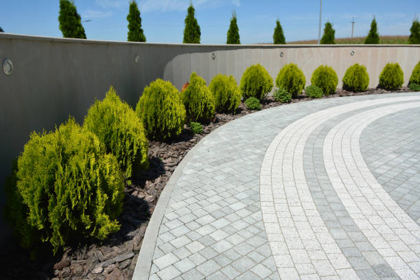 Best Driveway Pavers Near Me  in Marshfield, MO